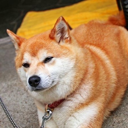Hounkan Yoshino  Bagian luar foto