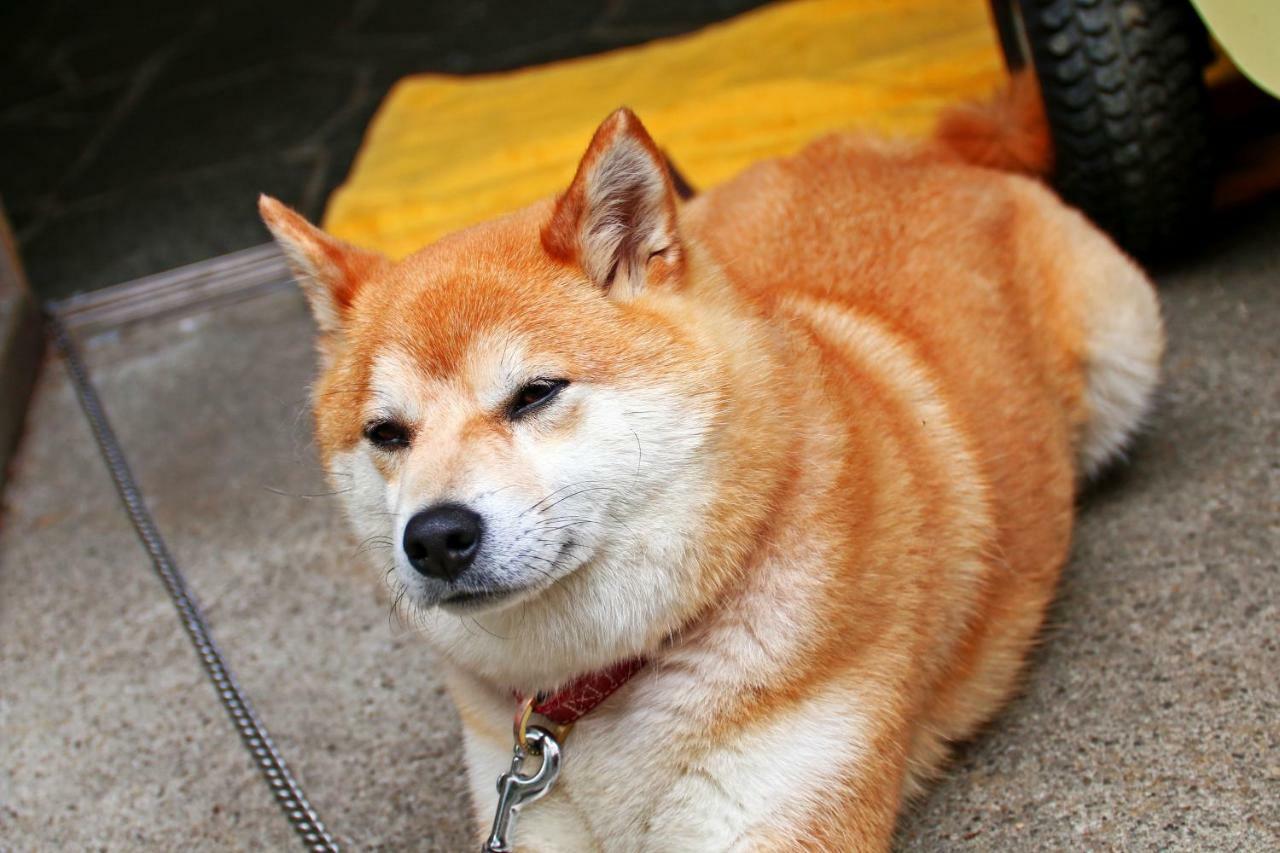 Hounkan Yoshino  Bagian luar foto
